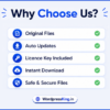 Why Choose WordPressKing?