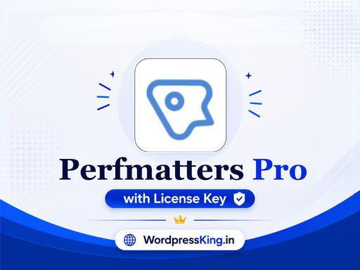 Perfmatters Pro With Licence Key